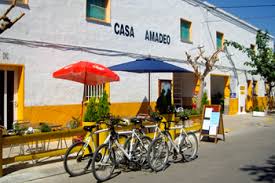 ENTREVISTA  A AMADEO AZA- CASA DE COLÒNIES POBLE NOU DEL DELTA